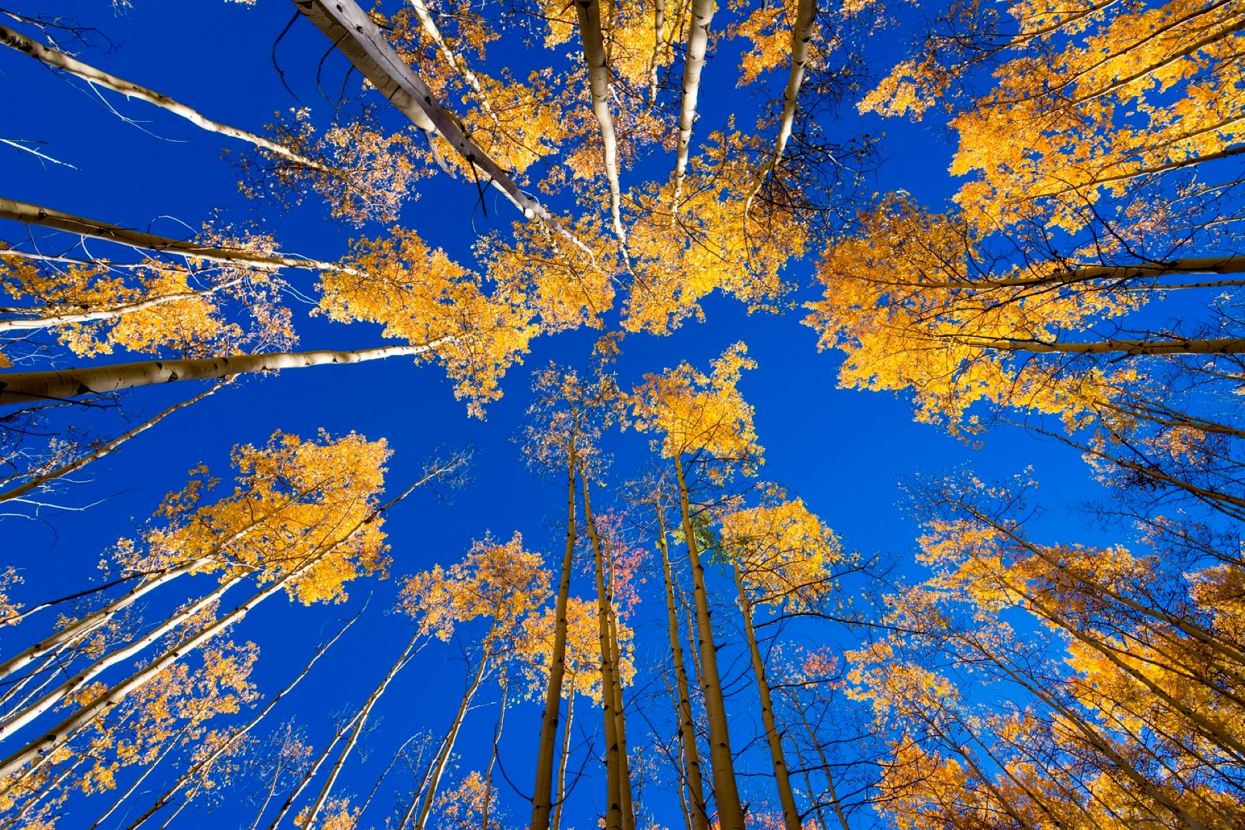 Does It Snow In Santa Fe In November