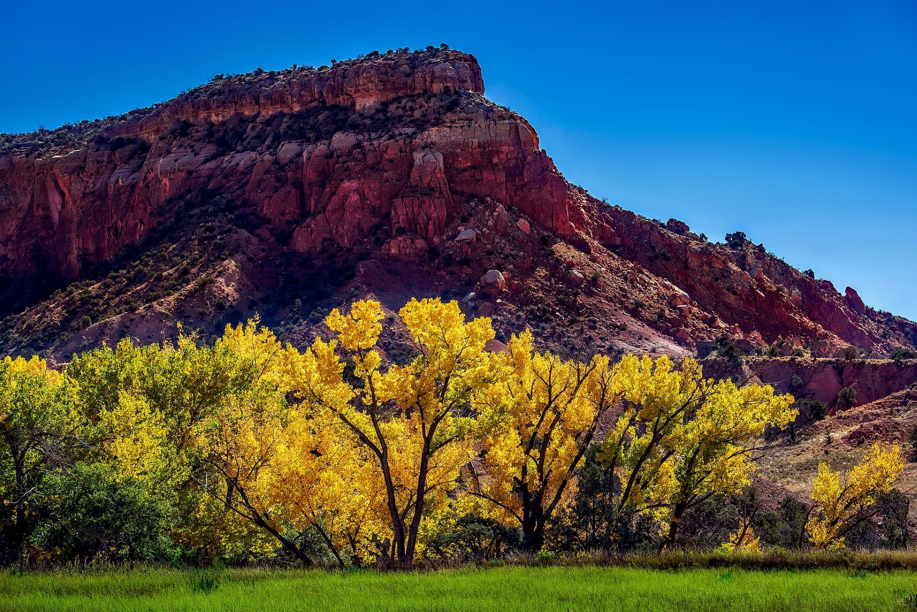 New Mexico fall