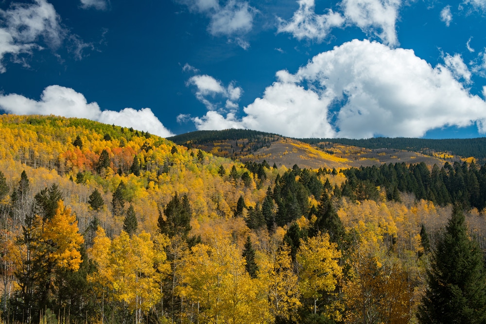 hiking in Santa Fe