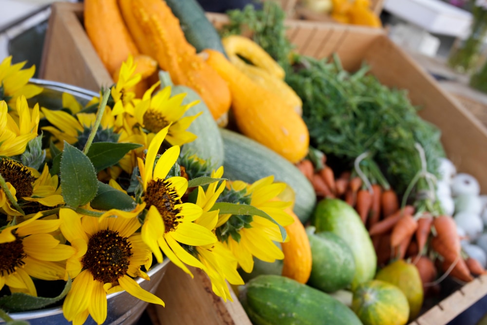 Santa Fe Farmers Market