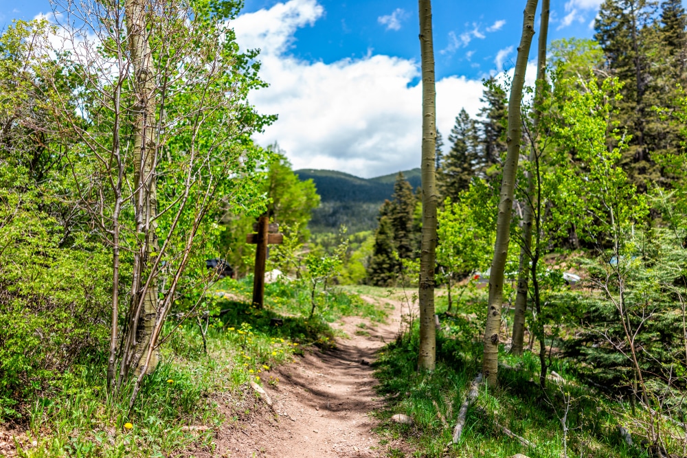 Hiking in Santa Fe