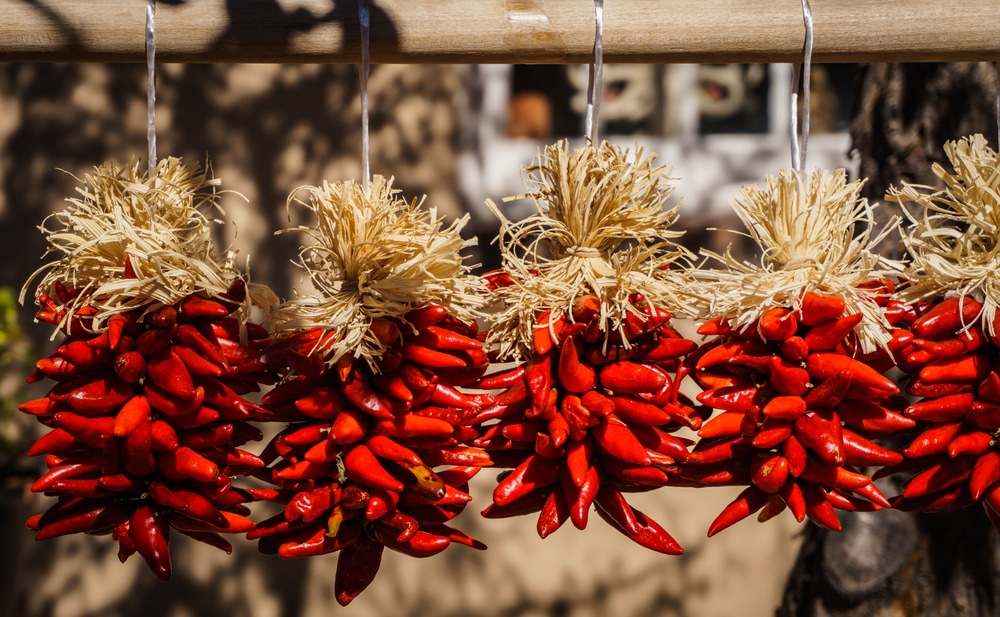 Santa Fe School Of Cooking 