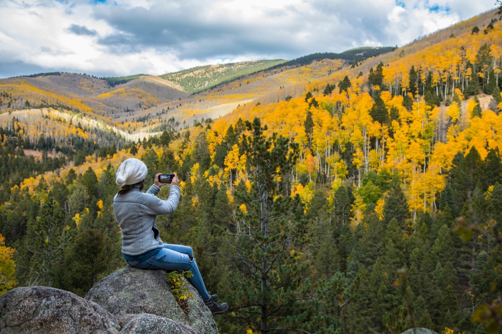 Woman Taking A Photo Of The Aspens While Hiking In Santa Fe In Fall