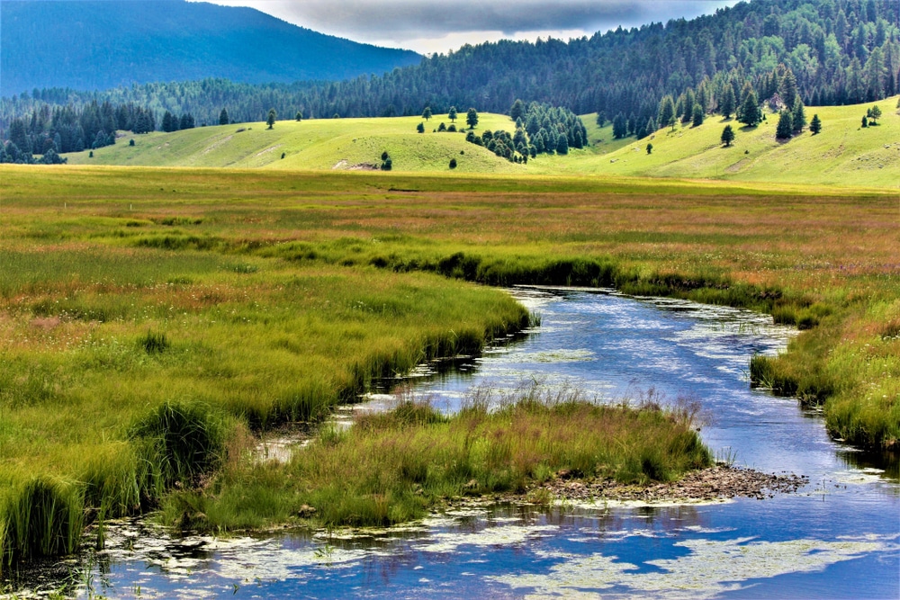 Beautiful Scenery At The Valles Caldera National Preserve, One Of The Best Places To Enjoy Hiking In Santa Fe