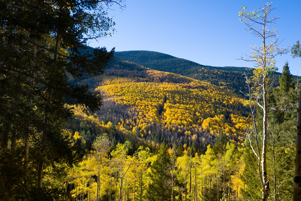 Gorgeous fall views that you'll enjoy while hiking in Santa Fe This fall