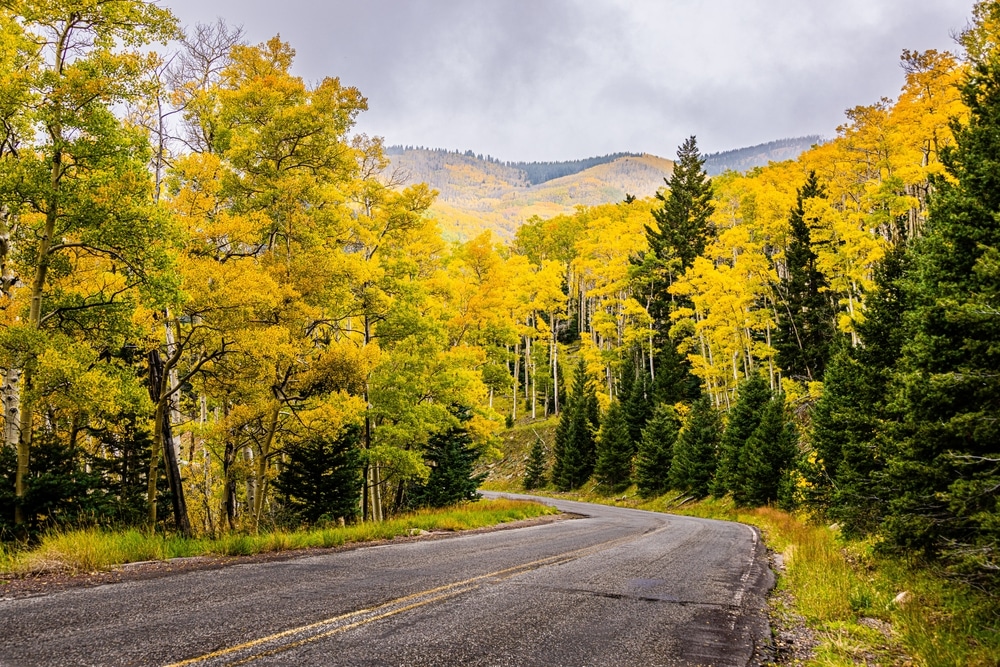 Scenic Fall Foliage On The Drive From Santa Fe To Taos